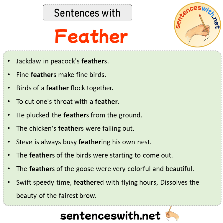 Sentences with Feather, Sentences about Feather