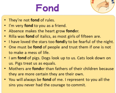 Sentences with Fond, Sentences about Fond