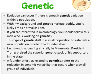 Sentences with Genetic, Sentences about Genetic