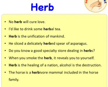 Sentences with Herb, Sentences about Herb