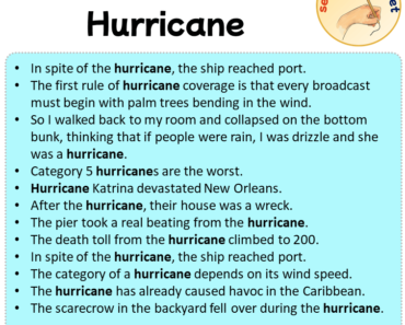 Sentences with Hurricane, Sentences about Hurricane