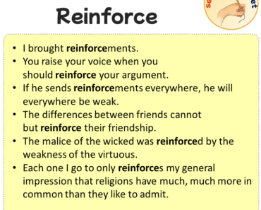 Sentences with Reinforce, Sentences about Reinforce
