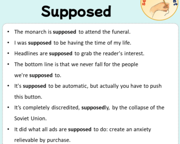 Sentences with Supposed, Sentences about Supposed