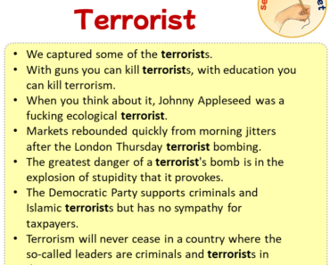 Sentences with Terrorist, Sentences about Terrorist