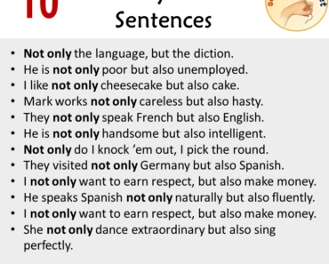 10 Not only but also Example Sentences, Use of Not only but also Sentences