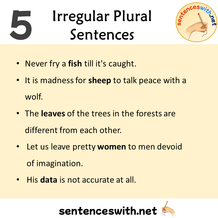 5 Irregular Plural Sentences, Irregular Plural Nouns Example Sentences