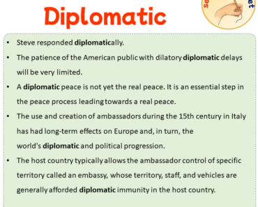 Sentences with Diplomatic, Sentences about Diplomatic