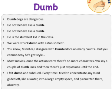 Sentences with Dumb, Sentences about Dumb