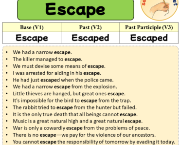 Sentences with Escape, Past and Past Participle Form Of Escape V1 V2 V3