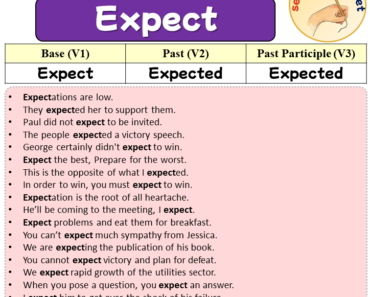 Sentences with Expect, Past and Past Participle Form Of Expect V1 V2 V3