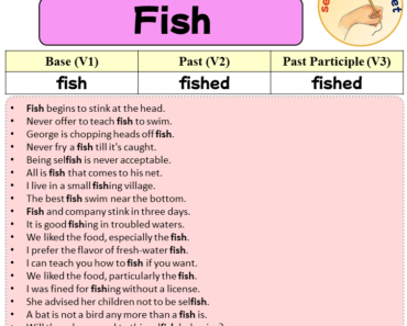 Sentences with Fish, Past and Past Participle Form Of Fish V1 V2 V3