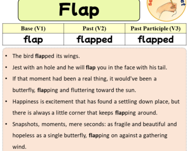 Sentences with Flap, Past and Past Participle Form Of Flap V1 V2 V3