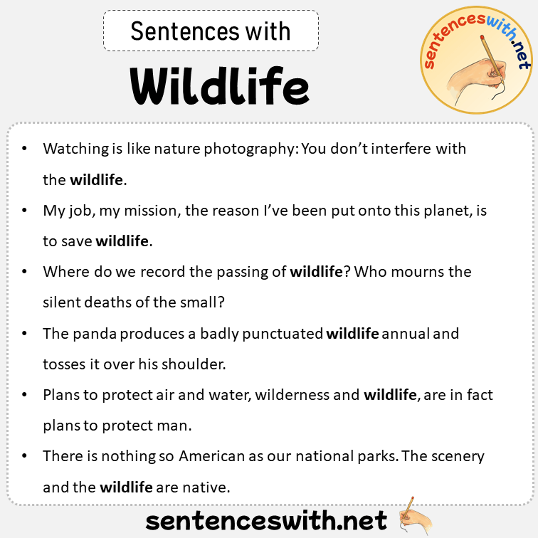 Sentences with Wildlife, Sentences about Wildlife