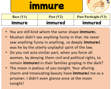Sentences with immure, Past and Past Participle Form Of immure V1 V2 V3