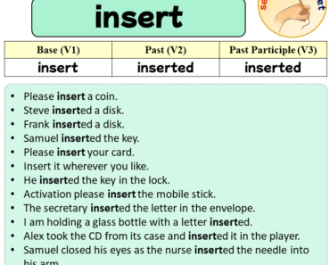 Sentences with insert, Past and Past Participle Form Of insert V1 V2 V3