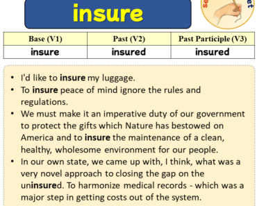 Sentences with insure, Past and Past Participle Form Of insure V1 V2 V3